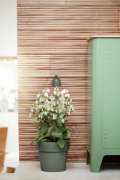 leaf light care 36cm blad groen